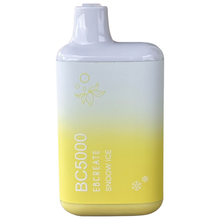 Load image into Gallery viewer, Snoow Ice - BC5000 - EBCreate Frozen Edition